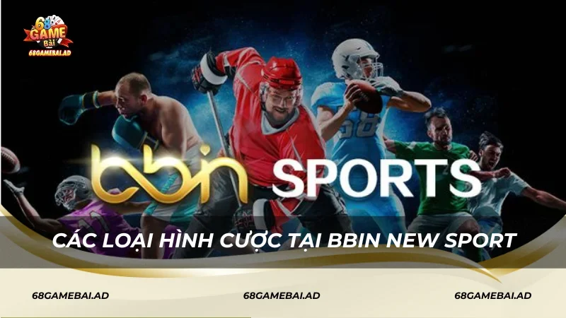 Các loại hình cá cược BBin New Sport