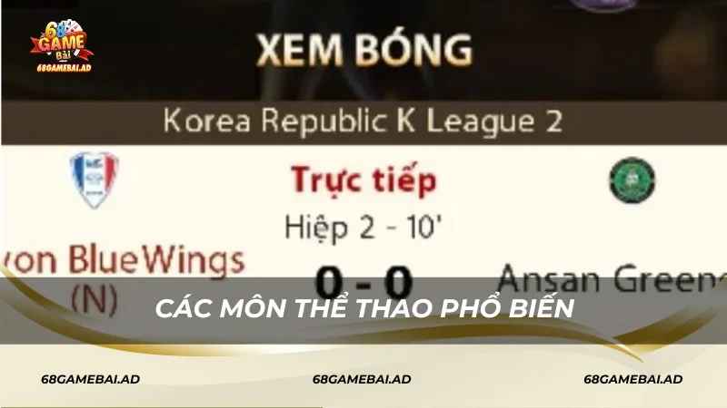 Các môn thể thao BBin New Sport phổ biến